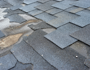 Pacific home with missing shingles in need of local roof repair pros